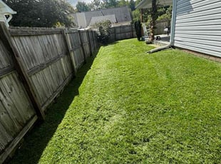 Ugochi M.'s turf maintenance service result