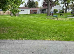 Daniel J.'s turf care service result