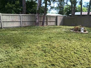 Karen O.'s lawn care service result