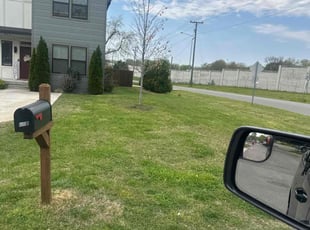 Griselda N.'s grass maintenance service result