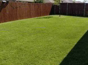 Hallie M.'s lawn care service result