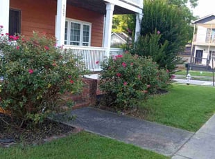 Crystal D.'s landscaping services service result