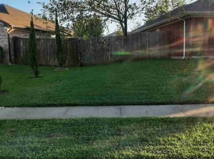 Rachyl P.'s landscaping services service result