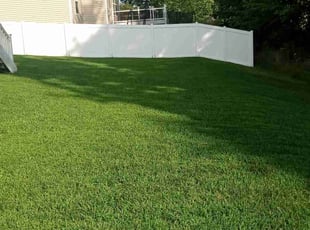 Todd F.'s lawn care services service result