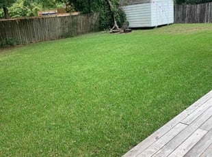 Anthony A.'s lawn care service result