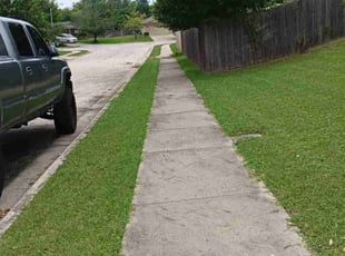 Mario A.'s turf maintenance service result