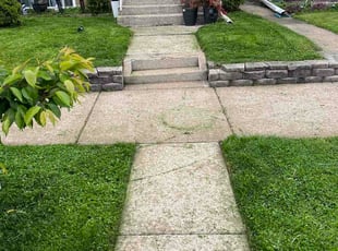 Nathan J.'s Long Grass Cleanup service result