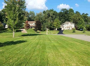 Pat A.'s lawn service service result