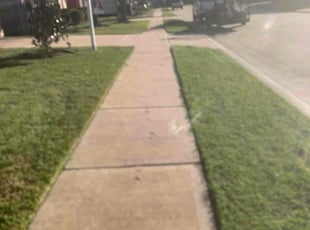 Frank B.'s grass cutting service result