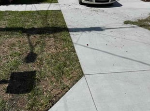 Betsy H.'s turf care service result