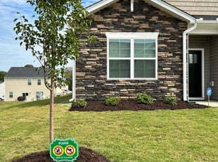 Mike R.'s Mulching service result