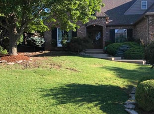 Stacey R.'s turf care service result