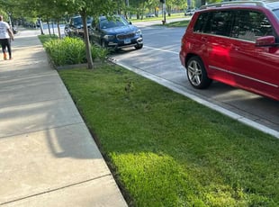 James M.'s turf care service result