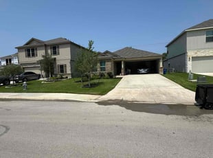 Meena S.'s grass maintenance service result