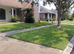 Lisa P.'s grass cutting service result