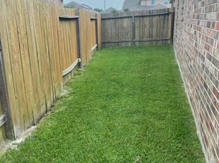 Josh G.'s turf care service result