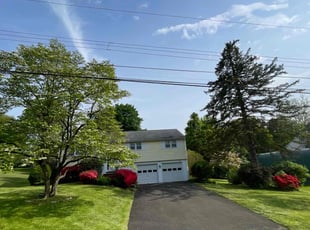 Terence L.'s grass cutting service result