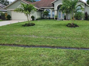 Marcus A.'s grass maintenance service result