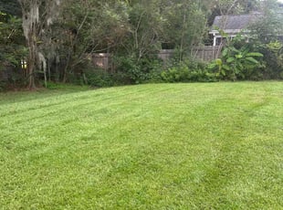 Marissa M.'s Cleanups service result