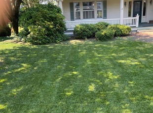 Jerry F.'s lawn service service result