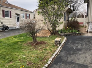 Joyce T.'s Bush Trimming service result