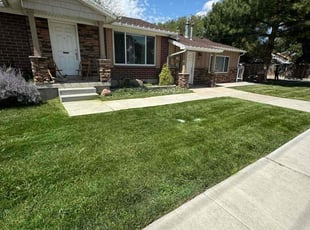 Sandi C.'s lawn care services service result
