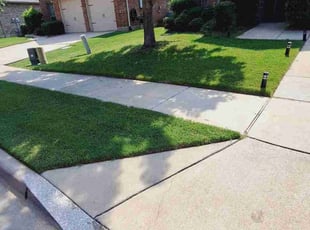 Victoria G.'s turf care service result