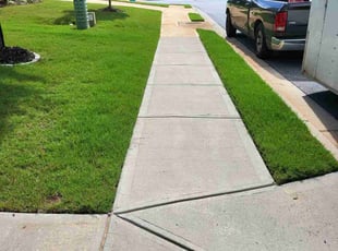 Terry S.'s lawn maintenance service result