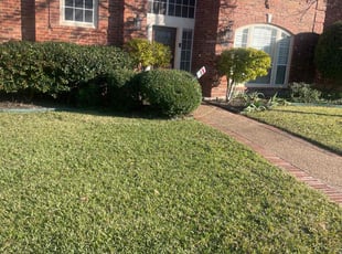 Donna M.'s Bush Trimming service result