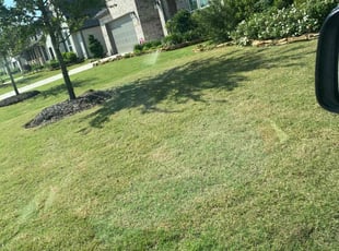 Brittany M.'s turf maintenance service result