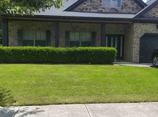 Brandy H.'s lawn care service result