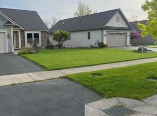 Todd F.'s lawn care service result