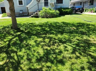 Stephen S.'s turf care service result