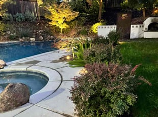 Mark B.'s lawn maintenance service result