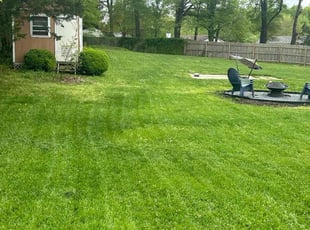 Ashley J.'s grass cutting service result
