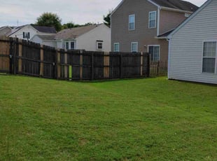 Tracy L.'s turf maintenance service result