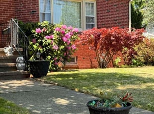 Leo P.'s Leaf Removal service result