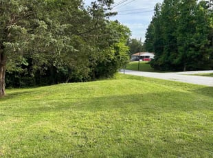 Mary O.'s lawn maintenance service result