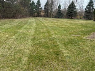Stan C.'s lawn service service result