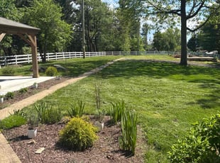Ross M.'s lawn care services service result