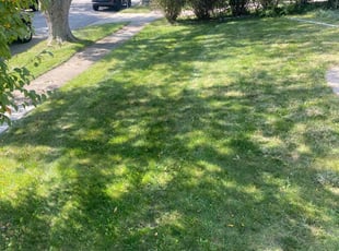 Richard M.'s grass cutting service result