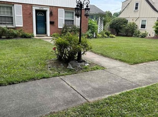 cecil t.'s lawn maintenance service result