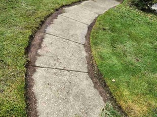 Tracy C.'s lawn service service result