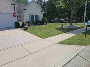 Sandra A.'s lawn service service result