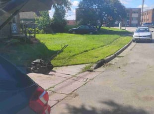 Cara T.'s lawn service service result