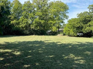 Tianyang C.'s grass cutting service result