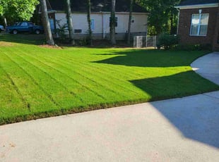 Deborah M.'s lawn service service result