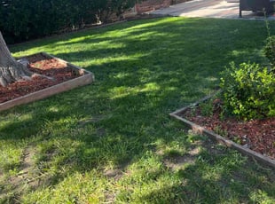Rhonda W.'s lawn maintenance service result