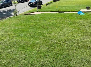 Raymond E.'s Bush Trimming service result