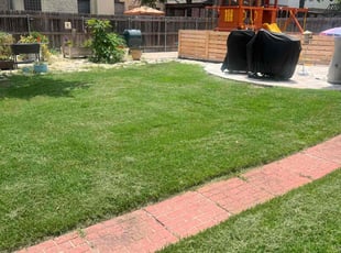 Kevin K.'s turf maintenance service result